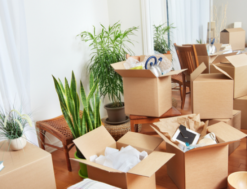 house shifting